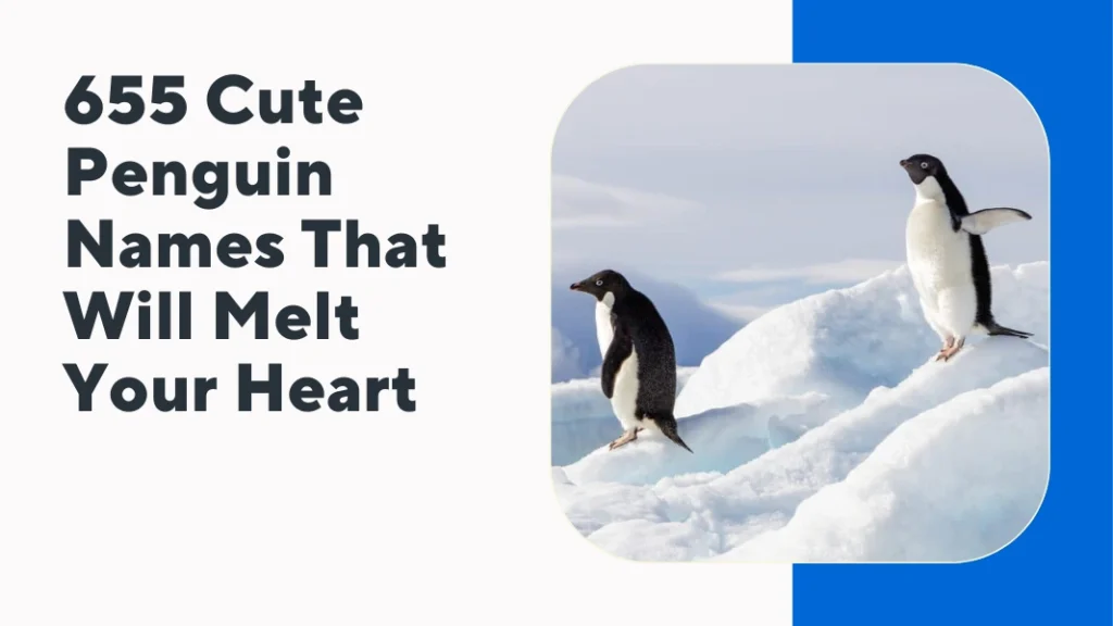 Cute Penguin Names