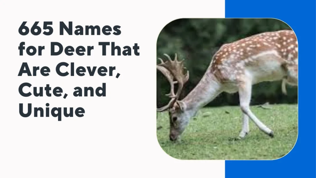 Names for Deer