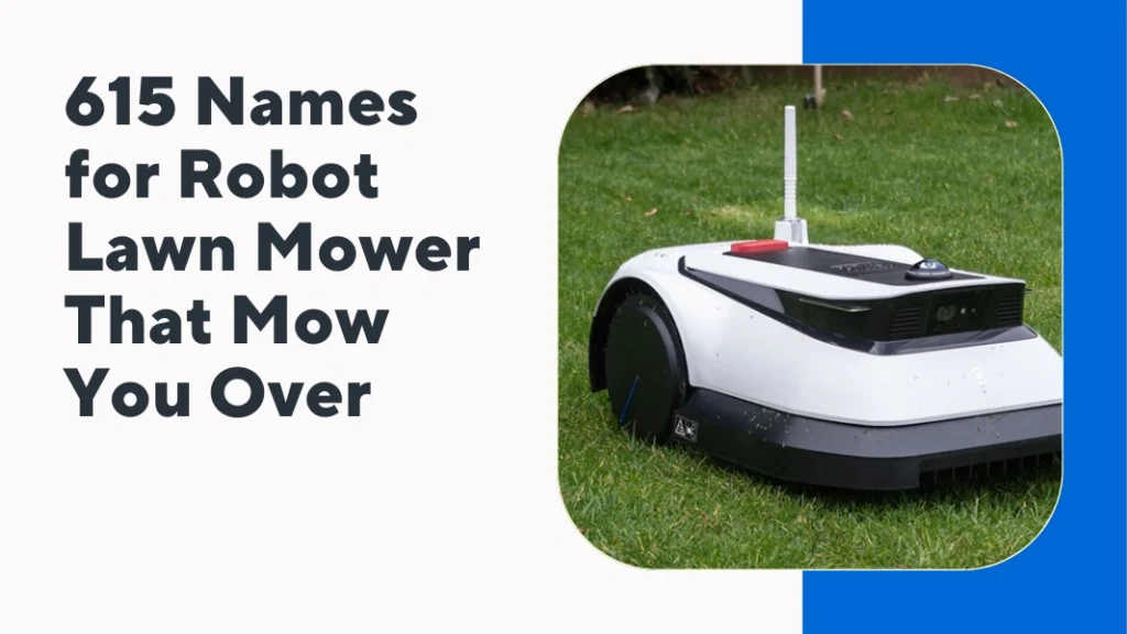 Names for Robot Lawn Mower