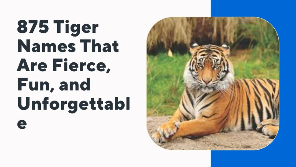 Tiger Names