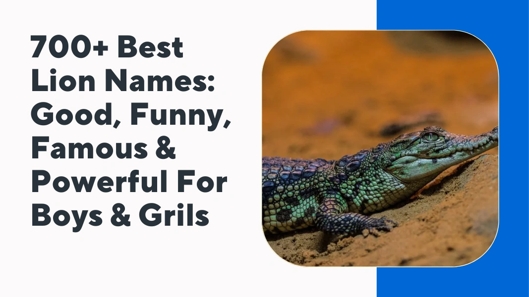 Crocodile Names